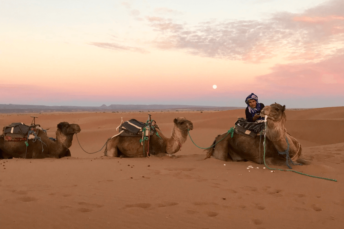 Activiteiten rondreis in Zuid Marokko