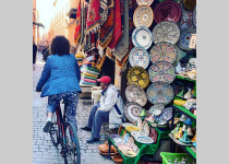Fietstour door Marrakech ontdek alle highlights per fiets